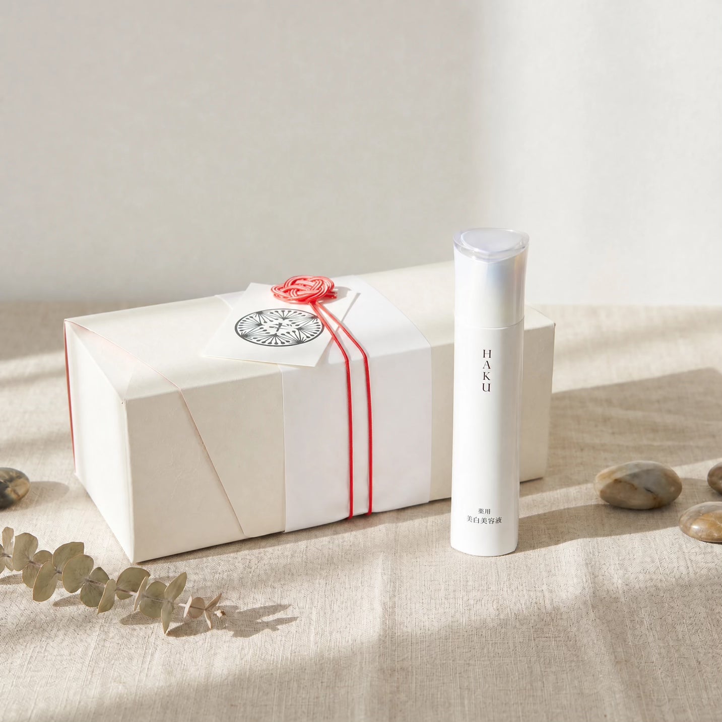 Shiseido HAKU Melano Focus IV 45g